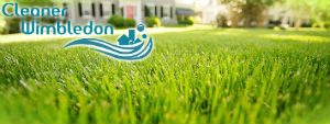 grass-cutting-services-wimbledon
