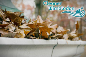 gutter-cleaners-wimbledon